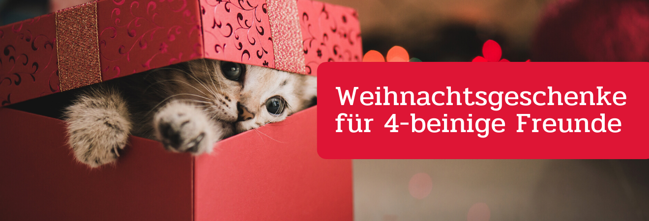 Weihnachtsgeschenke für 4-beinige Freunde