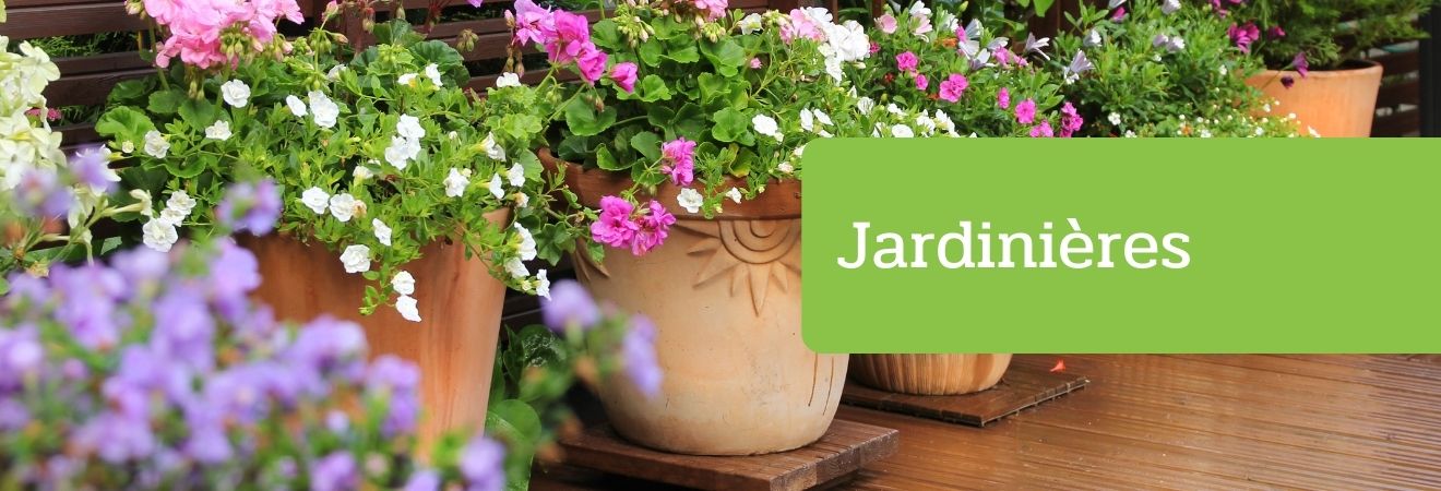 Jardinières