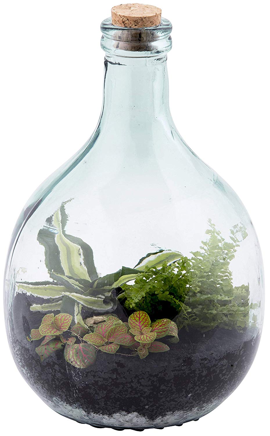 Set Ecosistema Terrarium In Vetro 5 Lt 2 Attrezzi Peragashop