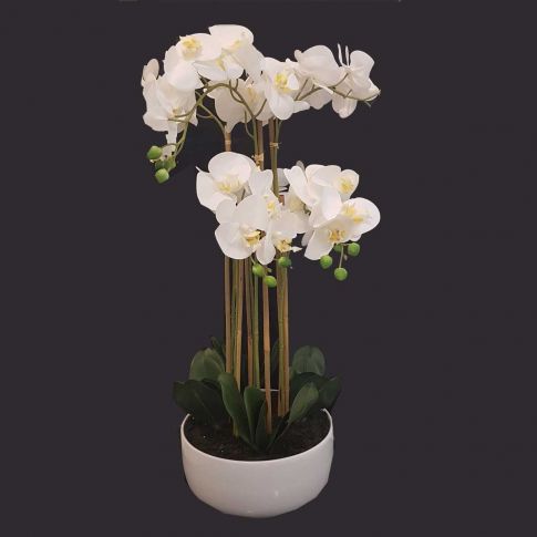 Orchidea Artificiale In Vaso 28x74 Cm Bianco