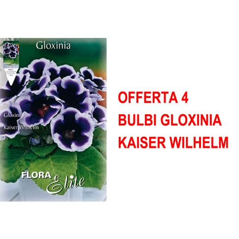 Bulbi Gloxinia in Vendita Online
