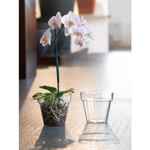 VASO PORTAVASO PER ORCHIDEE MEDITERRANEO TRASPARENTE 18CM - Speciale  Orchiday Online Peragashop