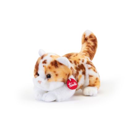 Peluche Trudi Gatto Brad Maculato S