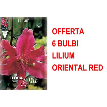 OFFERTA 6 BULBI LILIUM ORIENTAL RED