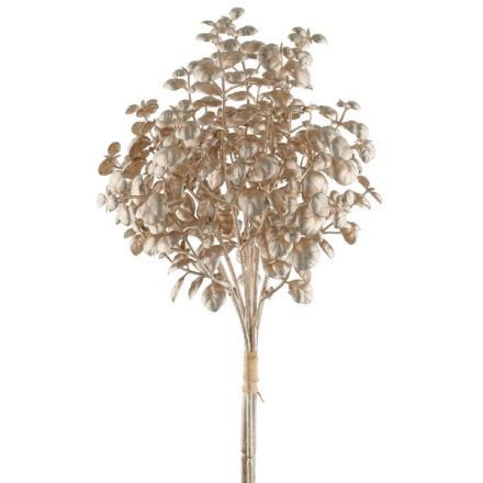 MAZZO EUCALIPTO 3,29CM CHAMPAGNE