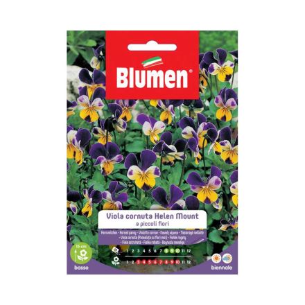 SEMI VIOLA HELEN MOUNT BLUMEN