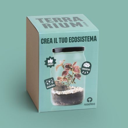 Resetea, Terrarium kit ecosistema in barattolo, 16×21,5 cm