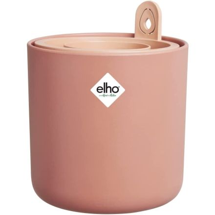 ERSTAUNLICHER AVOCADO TOPF TOFFEE TER