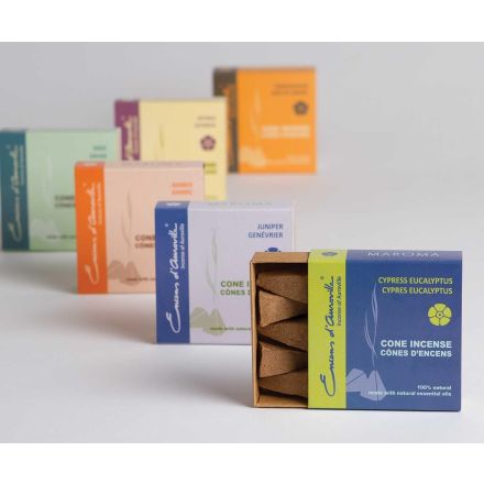 CONI INCENSO FRAGRANZA ASSORTITA 10PZ