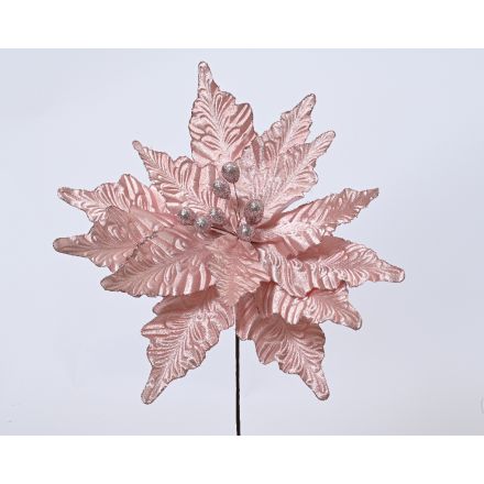 DECORAZIONE NATALIZIA, STELLA DI NATALE CON RAMO, Ø50XH66 CM, COLORE ROSA