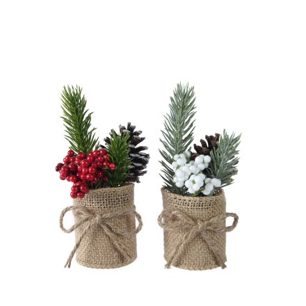 1 MINI ALBERO DI PINO CON BACCHE H15CM IN VASO DI JUTA MODELLO ASSORTITO