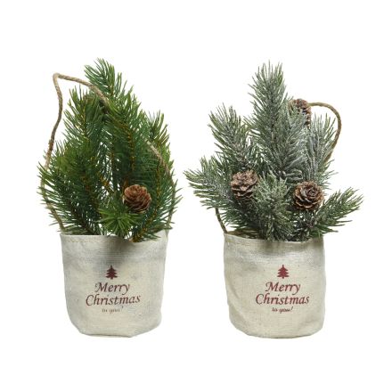 1 MINI ALBERO DI PINO CON PIGNE H24CM IN SACCHETTO NATALIZIO MODELLO ASSORTITO