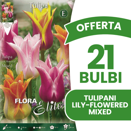 OFFERTA 21 BULBI TULIPANO FIOR DI GIGLIO MIX DI COLORI