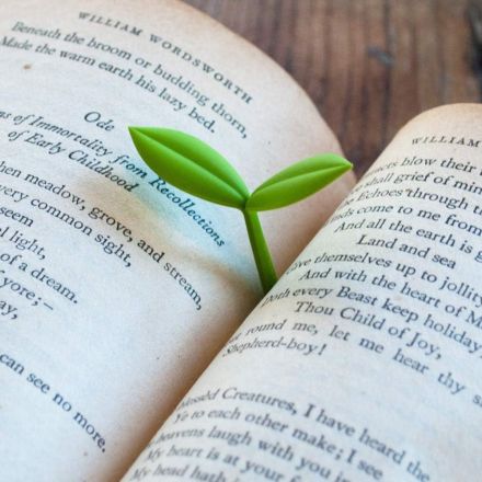 SEGNALIBRO A FORMA FOGLIA DI GERMOGLIO CONF. DA 3PZ