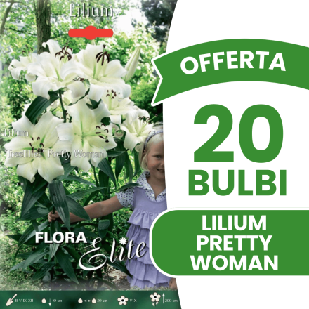 OFFERTA 20 BULBI LILIUM HYBRIDS PRETTY WOMAN