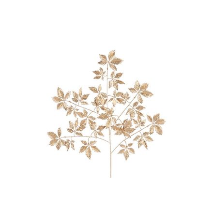 Ramo di Felce Dorata Arachniodes