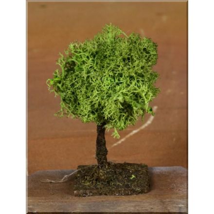 ALBERO LICHENE H7 CM