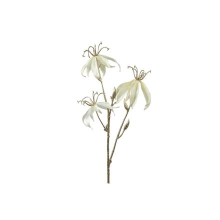 DECORAZIONE NATALIZIA, RAMO GLORIOSA, H61CM, COLOR CREMA