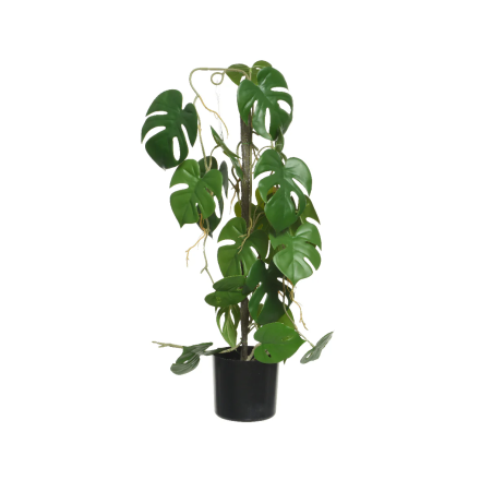 PIANTA MONSTERA ARTIFICIALE CON VASO 31X20X63,5H CM