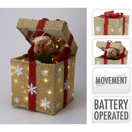 Pacco regalo con orso a LED, apertura automatica e suoni, 50 cm, colore beige