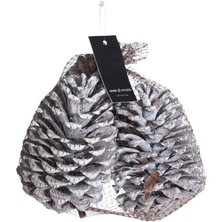 3 PIGNE SBIANCATE 14CM