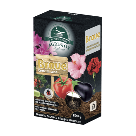 BRAVE CRESCITA SANA 800GR