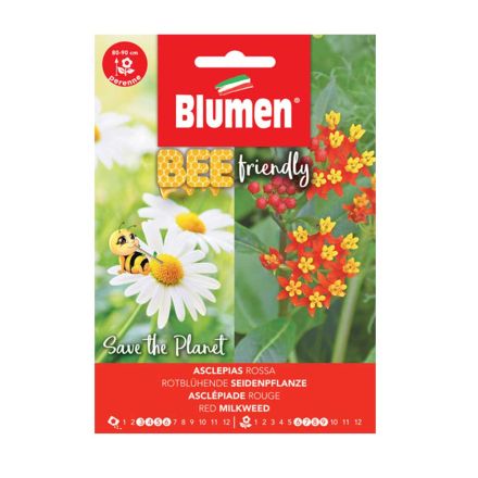 SEMI ASCLEPIAS ROSSA BLUMEN