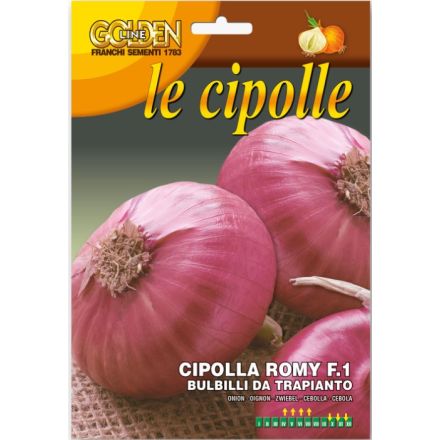 BULBILLI DI CIPOLLA ROMY F.1 500GR DA INTERRARE