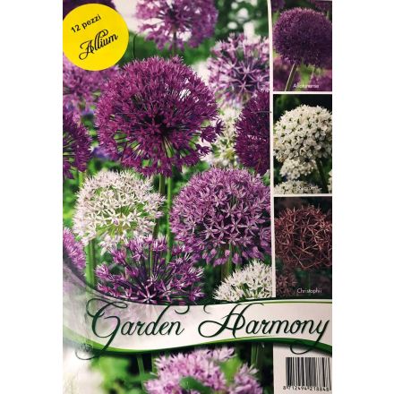 COLLEZIONE 12 BULBI DI ALLIUM CRISTOPHII IN MIX DI COLORI