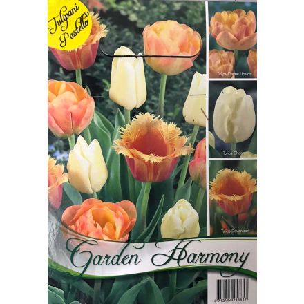 COLLEZIONE 15 BULBI DI TULIPANI ARANCIONE E PASTELLO PER AIUOLE E VASI