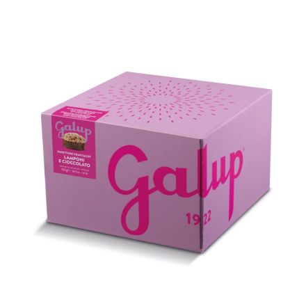 Panettone lamponi e cioccolato fondente con glassa, granella di zucchero e mandorle 750g