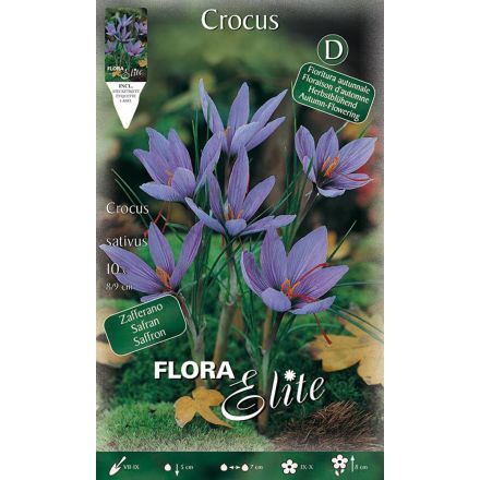 CROCUS SATIVUS (CONFEZIONE DA 10 BULBI)