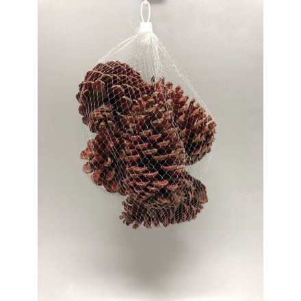 POMMES DE PIN ROUGES DE NOËL ASSORTIES