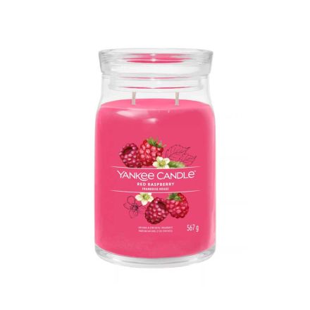 CANDELIA GRANDE SIGNATURE RED RASPBERRY