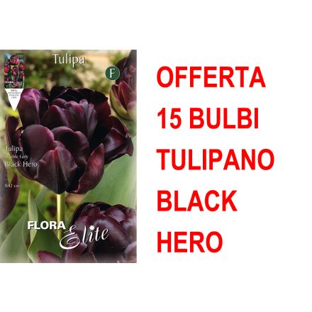 OFFERTA 15 BULBI TULIPANO A FIORE DOPPIO LATE BLACK HERO