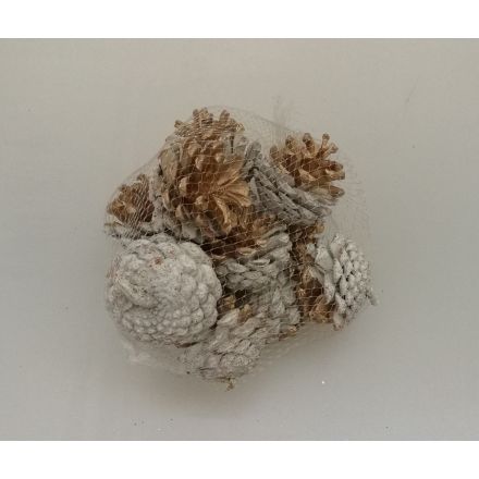 ASSORTIMENT DE POMMES DE NOËL DORÉS ET BLANC 250GR