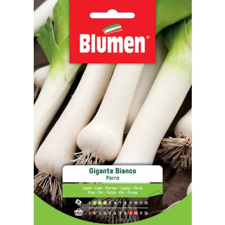 SEMI PORRO GIGANTE BIANCO