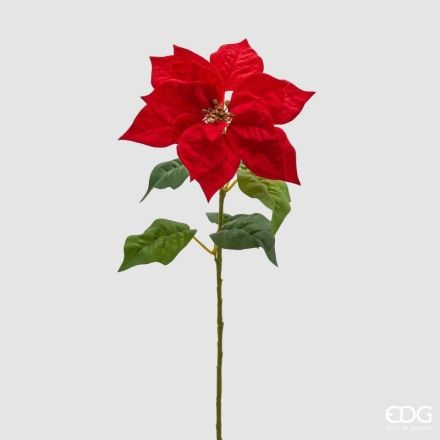 Ramo Stella Natale con Foglie H.70 D.25 Rosso