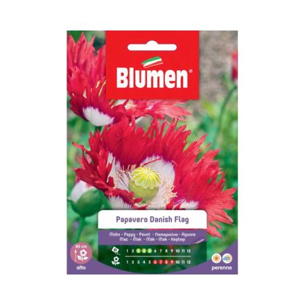 SEMI PAPAVERO DANISH FLAG BLUMEN