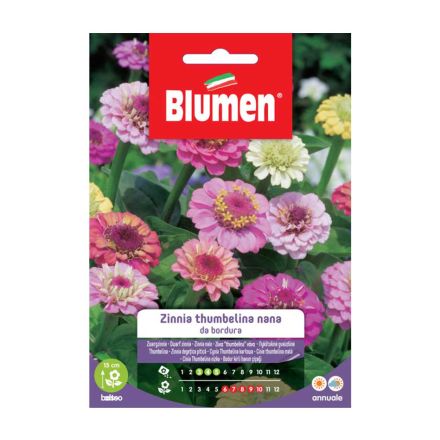 SEMI ZINNIA THUMBELINA NANA DA BORDURA IN MISCUGLIO