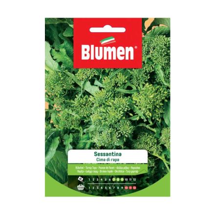 SEMI CIMA DI RAPA SESSANTINA BLUMEN