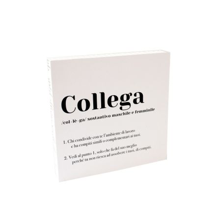 QUADRETTO DIZIONARIO COLLEGA 20X20X3 CM BIANCO