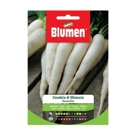 SEMI RAVANELLO CANDELA GHIACCIO BLUMEN