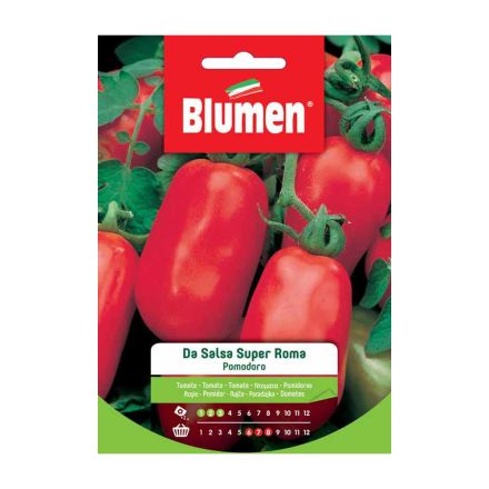 SEMI POMODORO SALSA SUPER ROMA BLUMEN