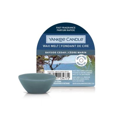 CERA DA FONDERE WAX MELT BAYSIDE CEDAR