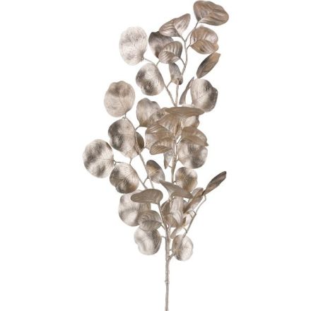 Ramo Eucalipto Champagne 77 cm