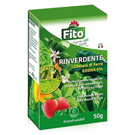 RINVERDENTE FITO 50GR
