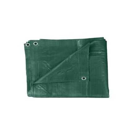 TELO OCCHIELLATO VERDE 5X6 GR/MQ 120