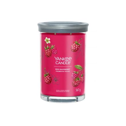 CANDELIA TUMBLER GRANDE RED RASPBERRY