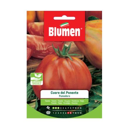 SEMI POMODORO CUORE DEL PONENTE BLUMEN